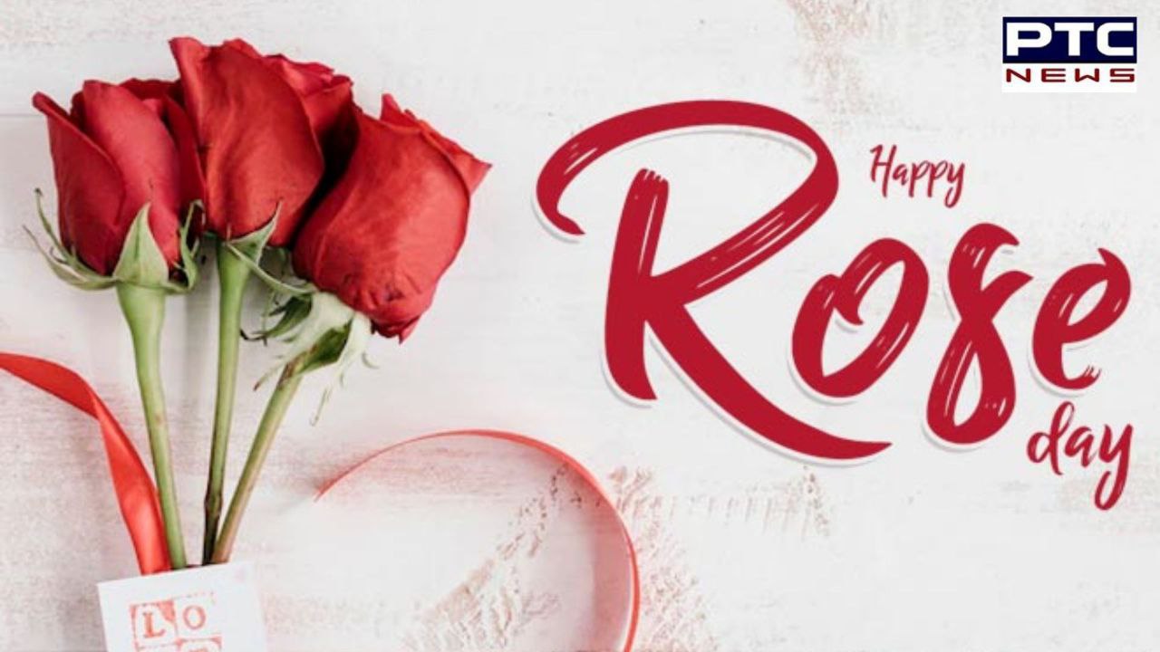 Valentine’s Week 2025 list: Rose Day – messages, status, quotes, Instagram posts and how it is celebrated